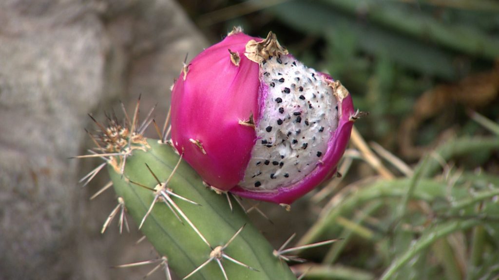 Lust hat kein Ablaufdatum